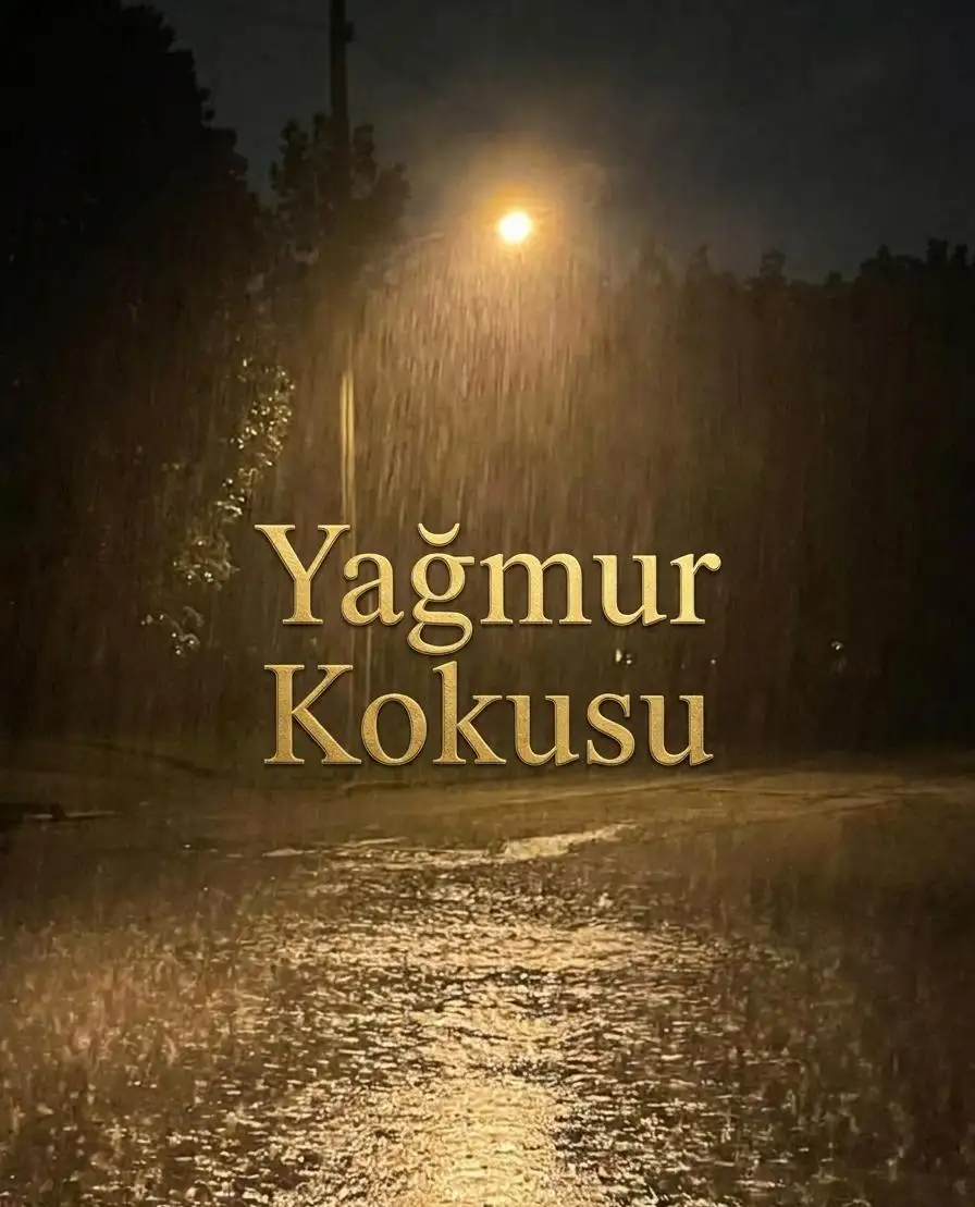 YAĞMUR KOKUSU kitap kapağı