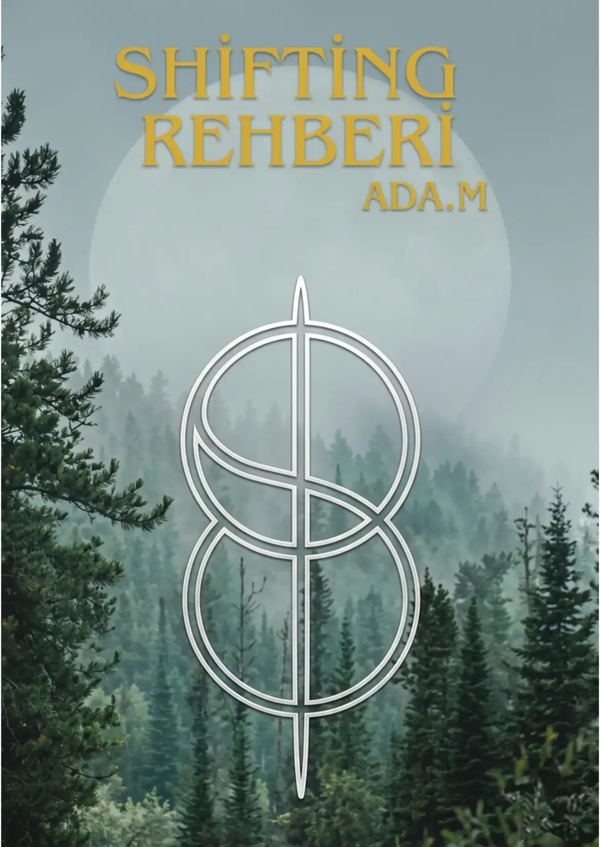 Shifting Rehberi kitap kapağı