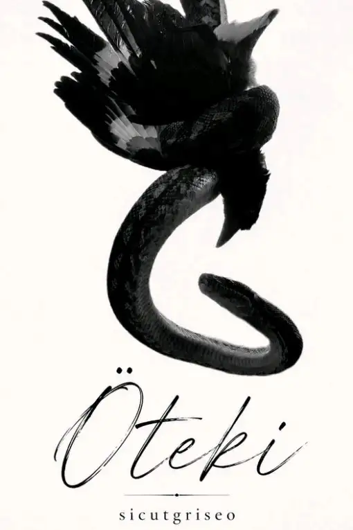Öteki — V. Noir