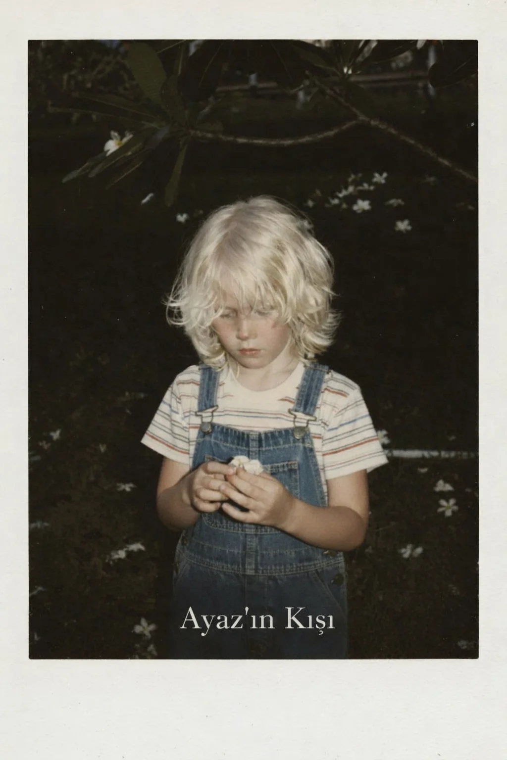 Ayaz'ın kışı — Nestown_ Fan