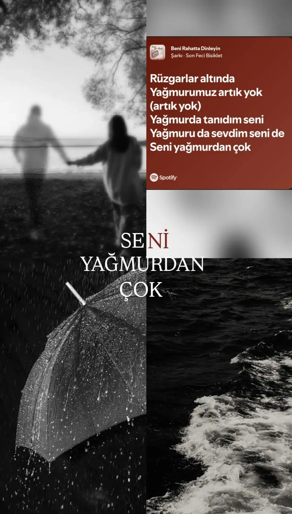 SENİ YAĞMURDAN ÇOK kitap kapağı