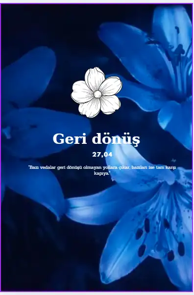 GERİ DÖNÜŞ — Deniz Bay