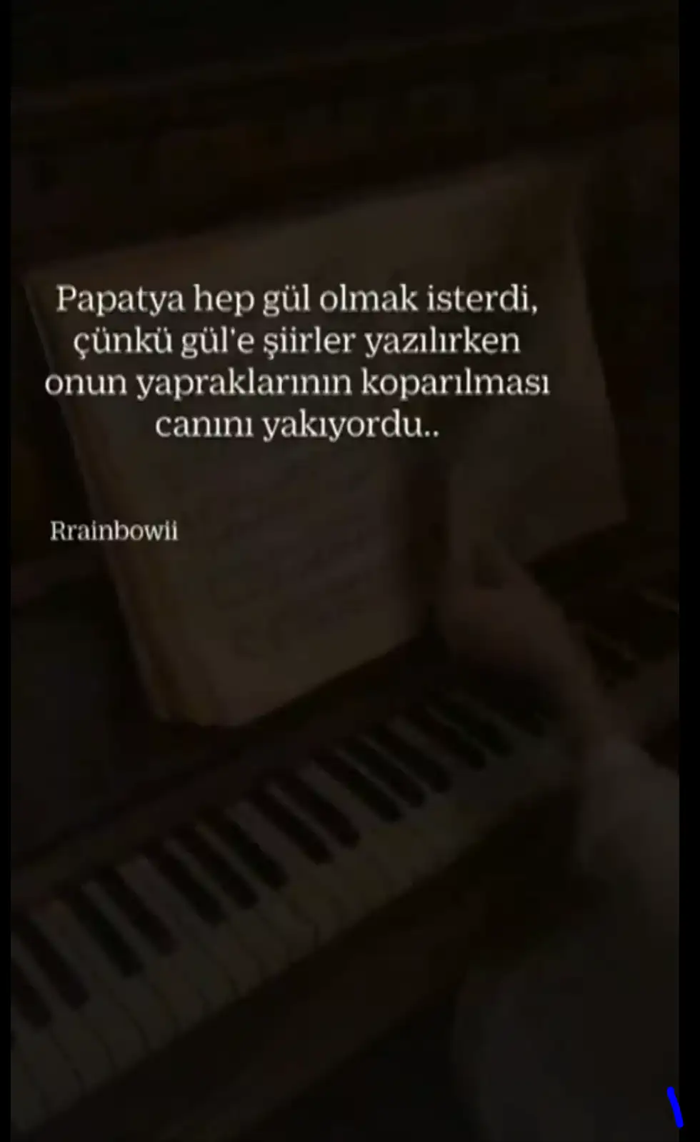 Bir yaz akşamı kitap kapağı