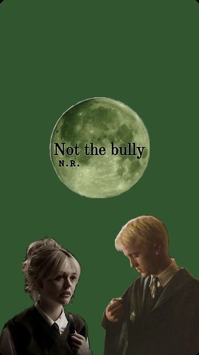 Not The Bully-N. R. kitap kapağı