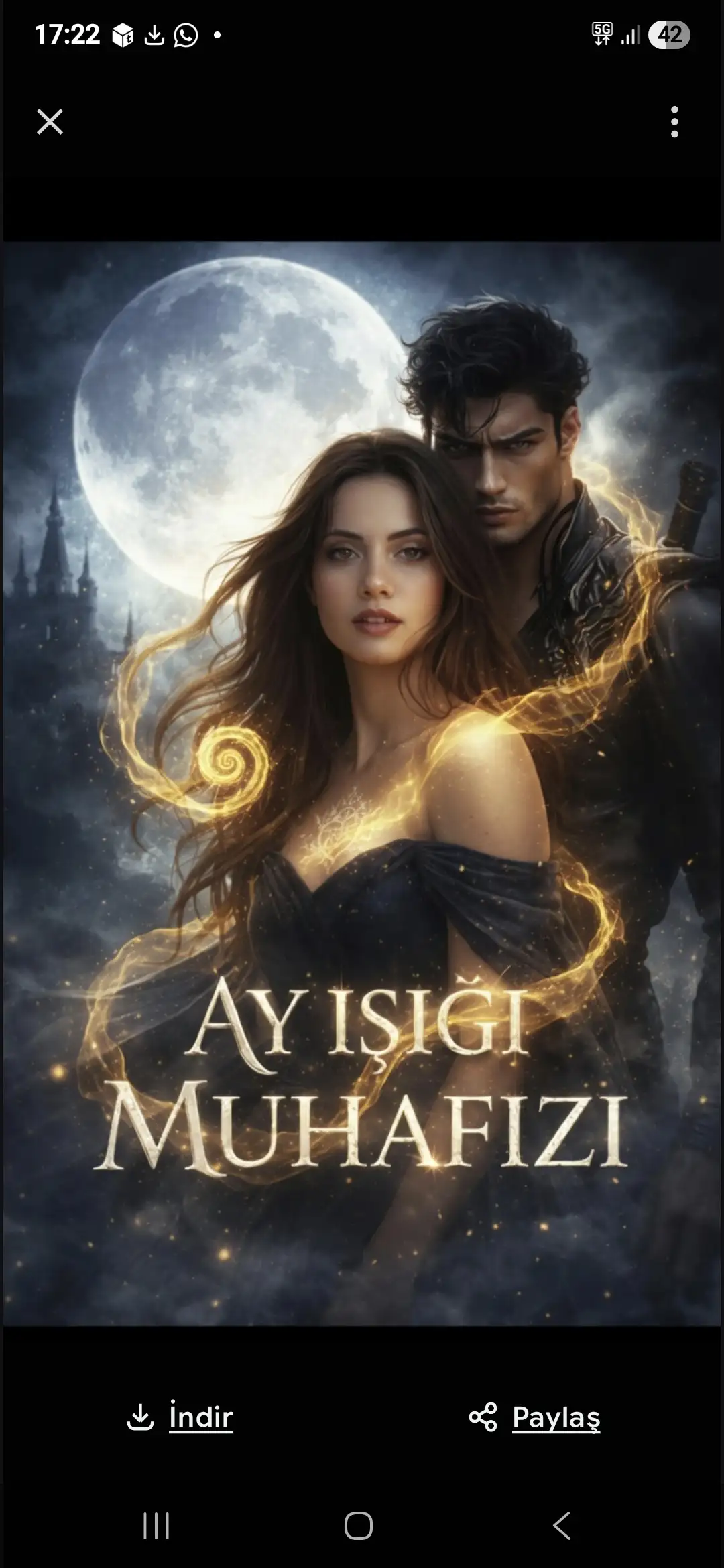 Ay Işığı Muhafızı — Aelora Kael Elion Taş