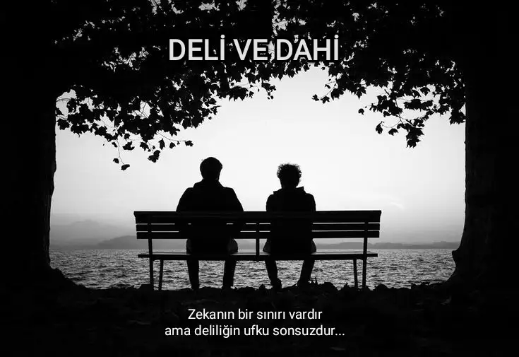 DELİ VE DAHİ kitap kapağı