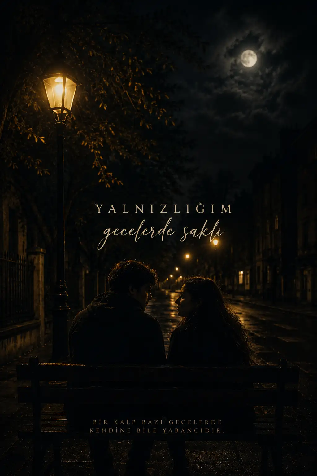 YALNIZLIĞIM GECELERDE SAKLI kitap kapağı
