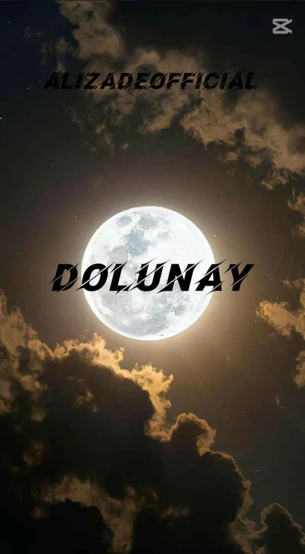 Dolunay kitap kapağı