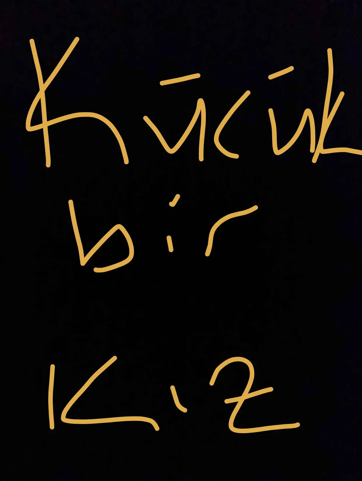 Küçük bir kız kitap kapağı