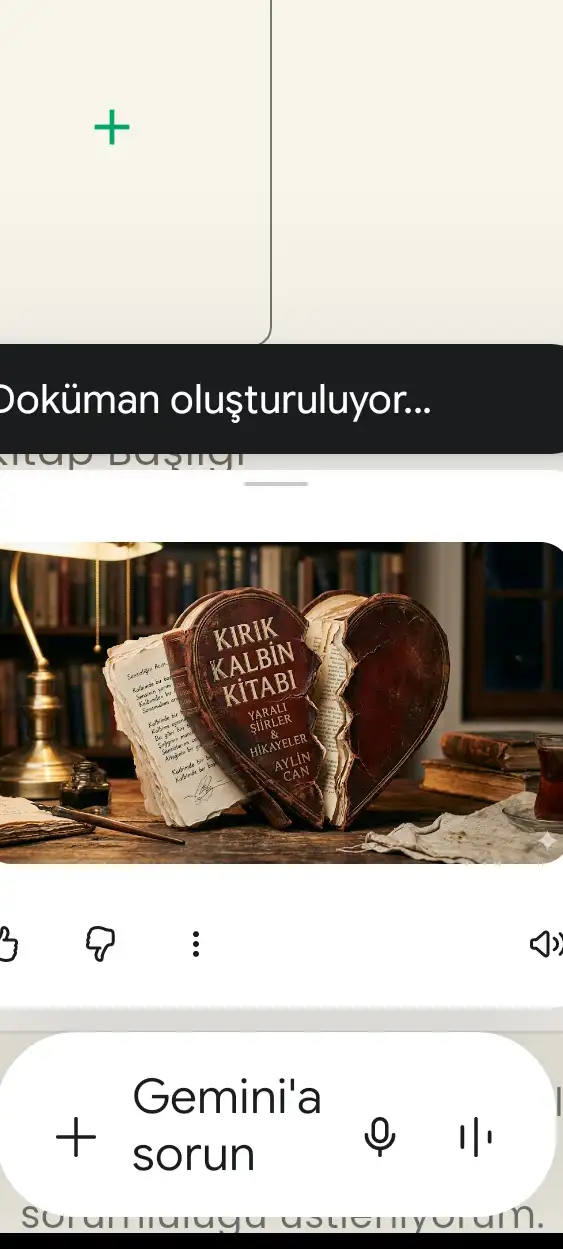 Kırık kalp kitap kapağı