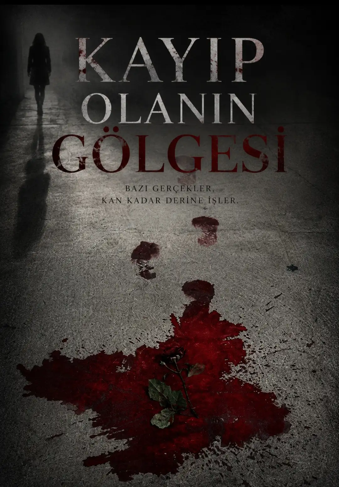 Kayıp olanın gölgesi kitap kapağı