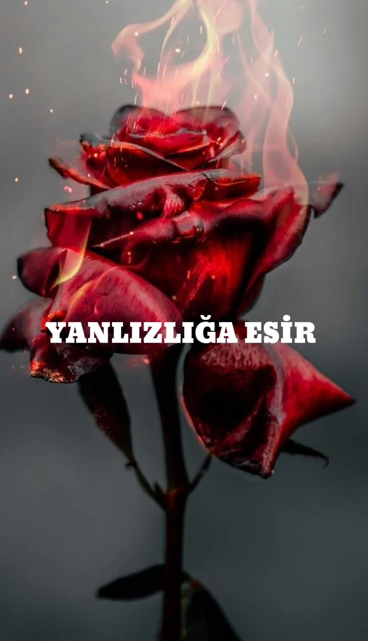 YANLIZLIĞA ESİR — Nur Yıldız