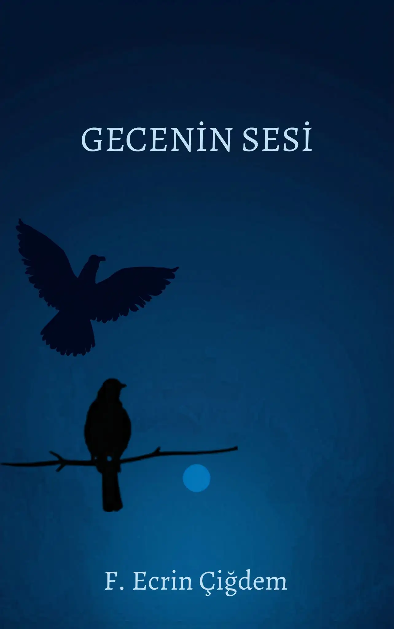 Gecenin Sesi — Ecrinn Fatma