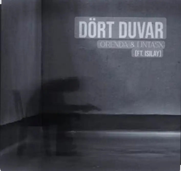 4 DUVAR kitap kapağı