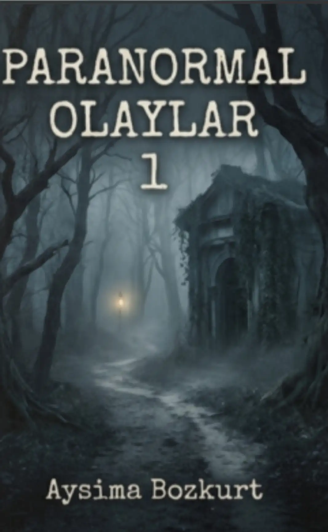 Paranormal Olaylar 1 kitap kapağı