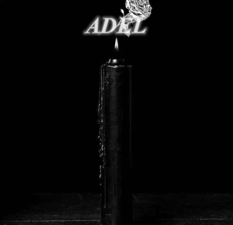 Adel kitap kapağı