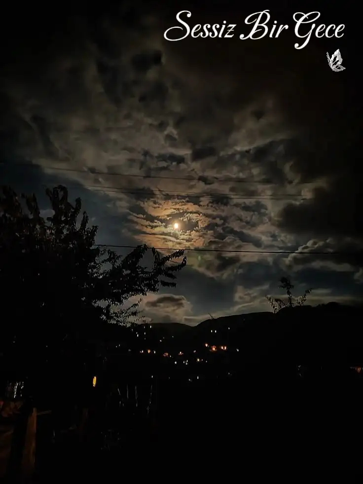 Sessiz Bir Gece kitap kapağı