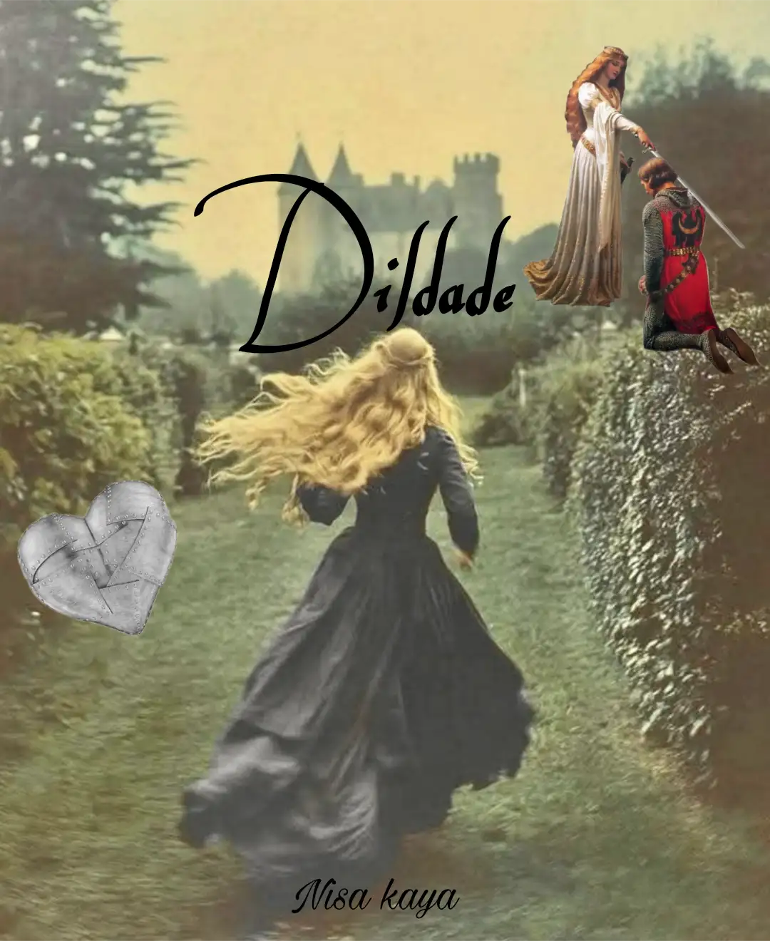 DİLDADE kitap kapağı