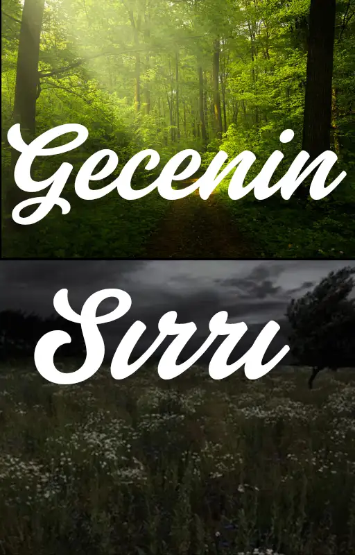 Gecenin Sırrı kitap kapağı