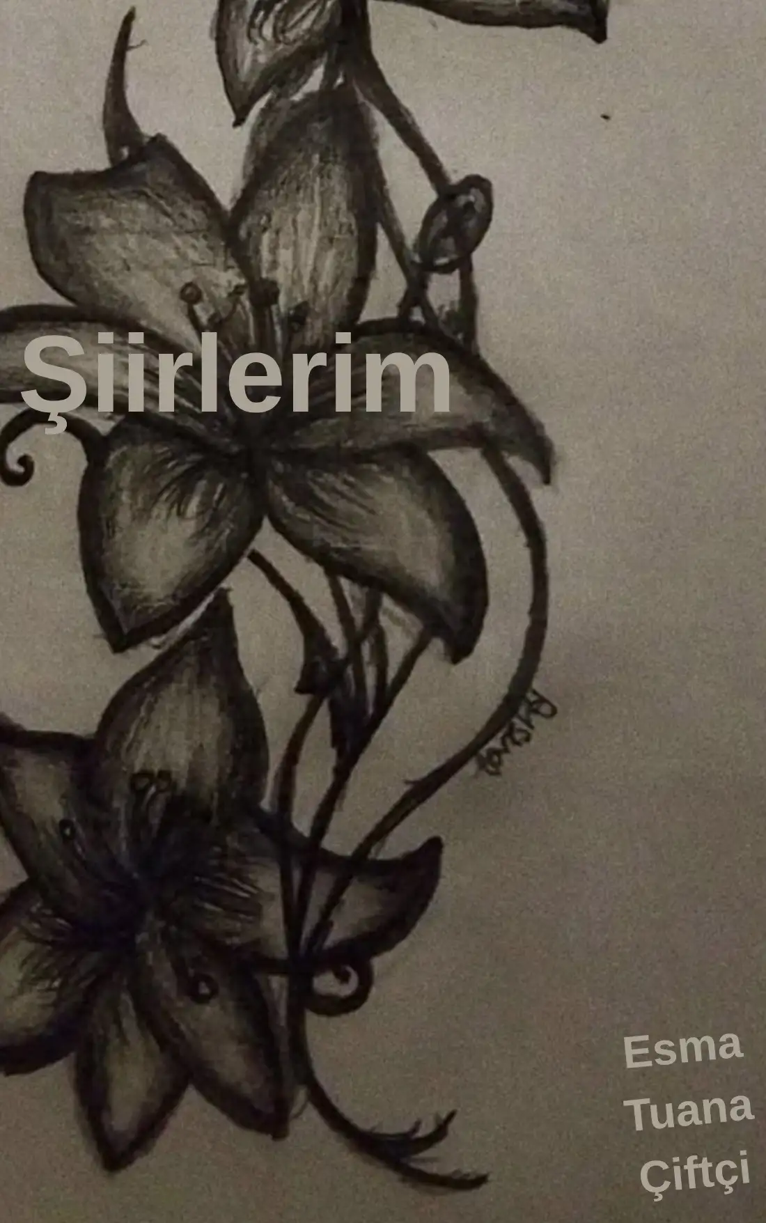 Şiirlerim — Esma Tuana Çiftçi
