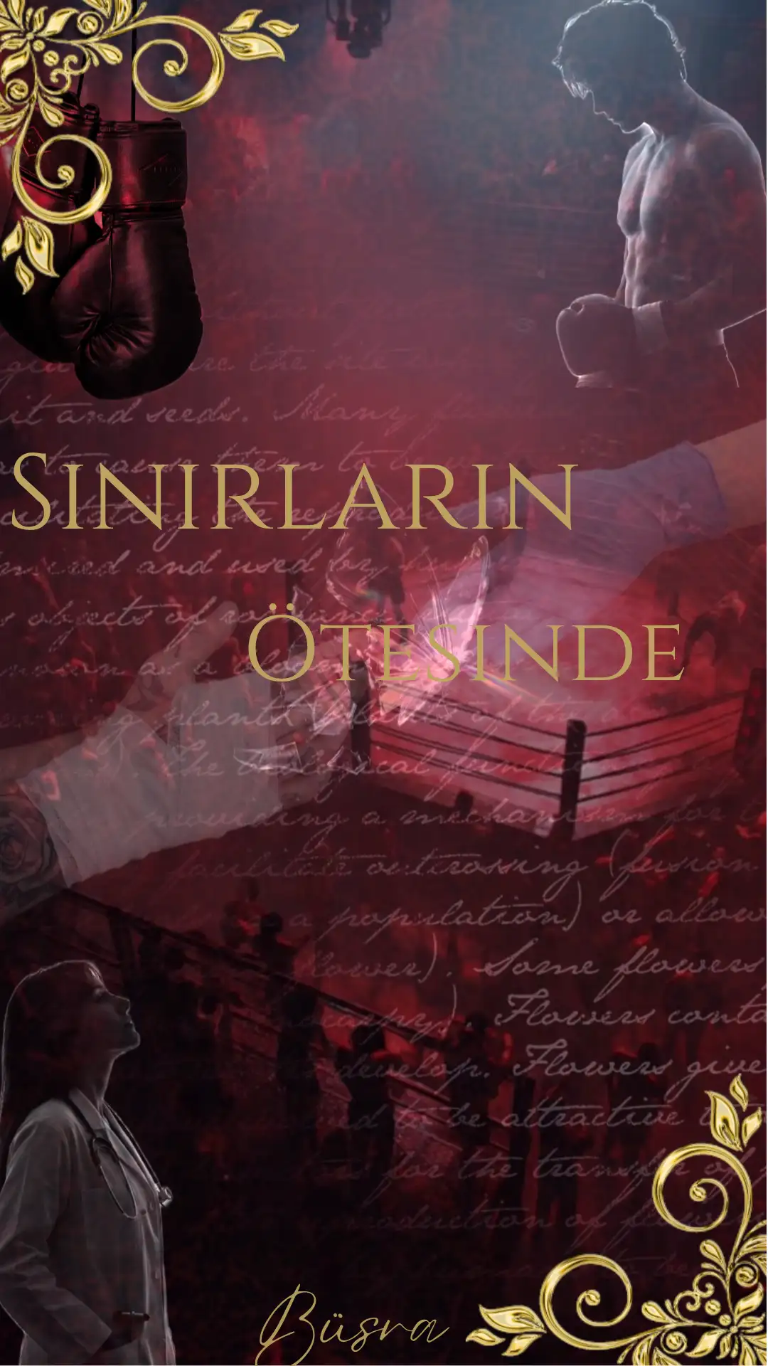 Sınırların Ötesinde — Vaveyla Kullanıcısı
