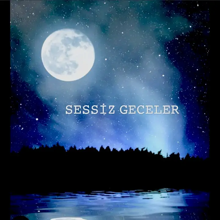 Sesiz Geceler kitap kapağı
