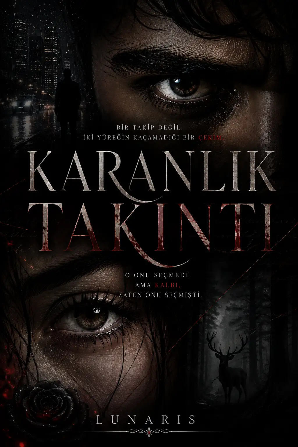 Karanlık Takıntı kitap kapağı