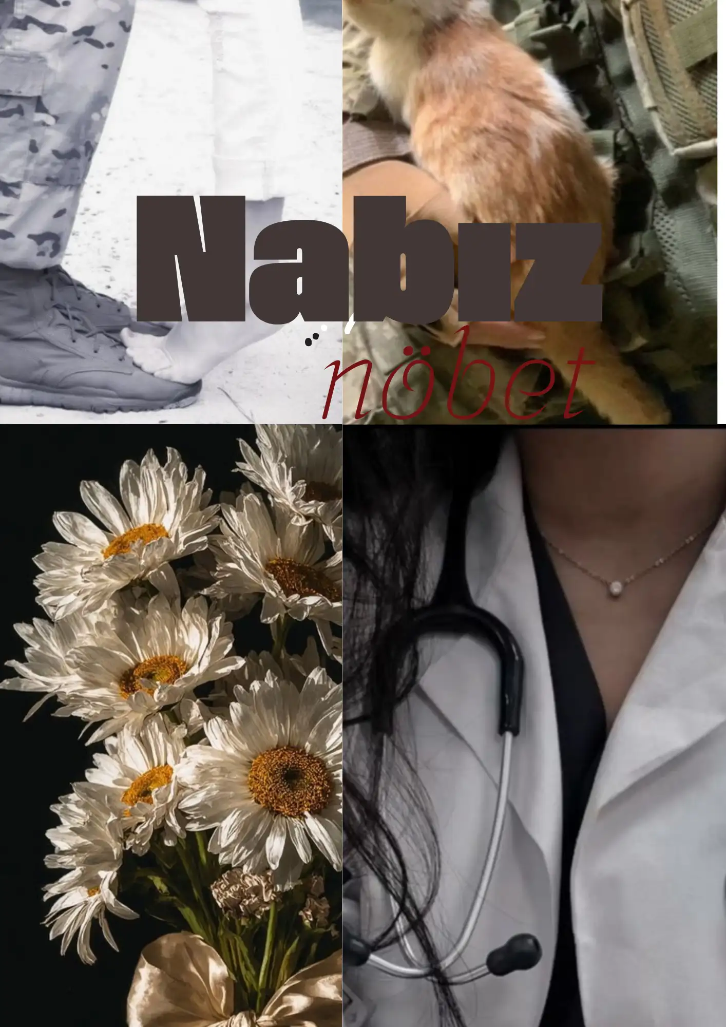 NABIZ — Medine