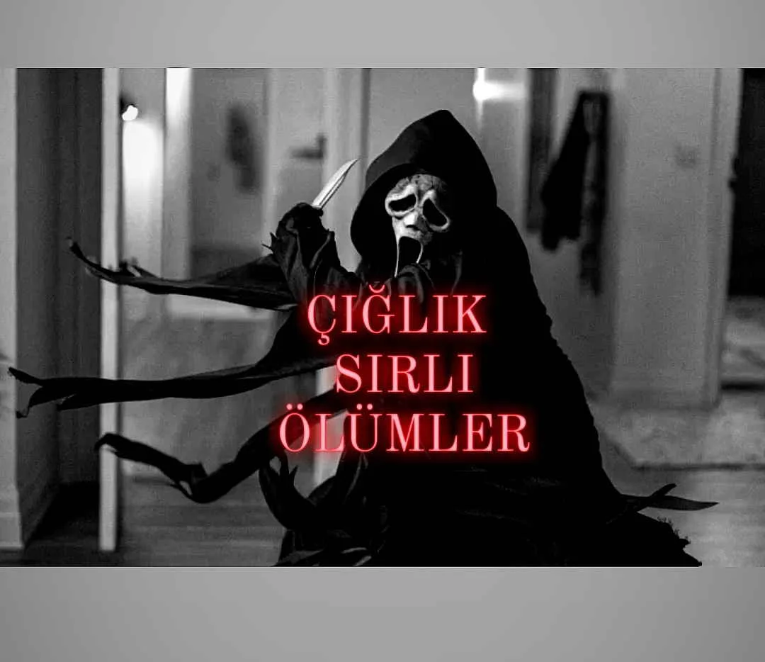 ÇIĞLIK SIRLI ÖLÜMLER kitap kapağı