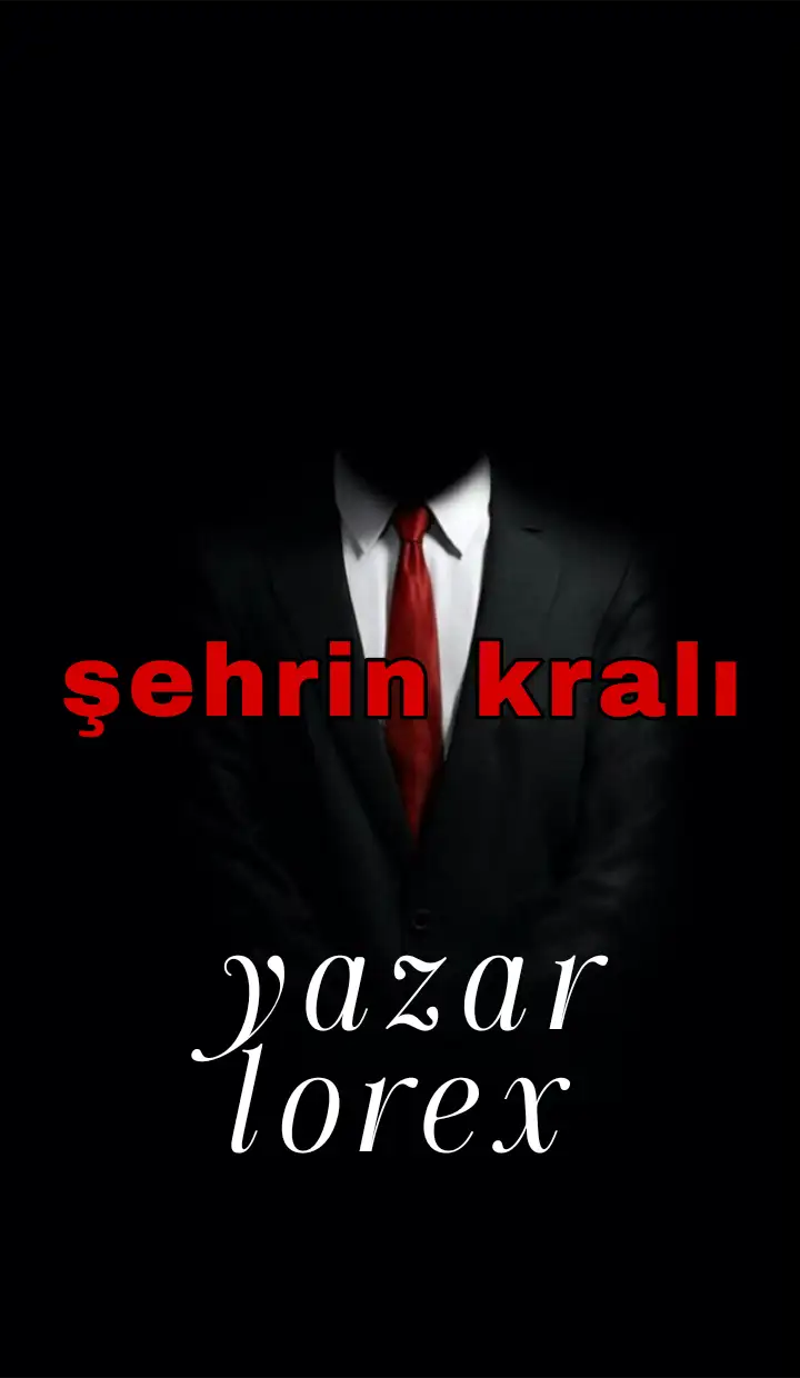 şehrin kıralı:1 kitap kapağı