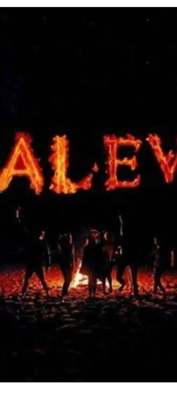 Alev kitap kapağı