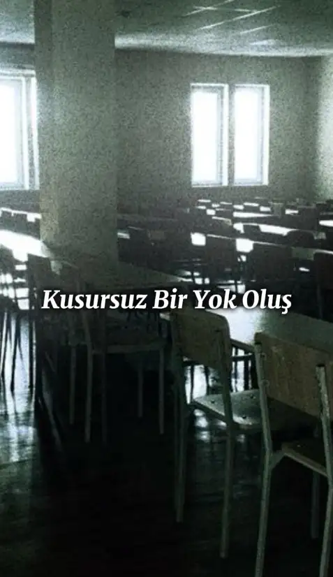 Kusursuz Bir Yok Oluş kitap kapağı