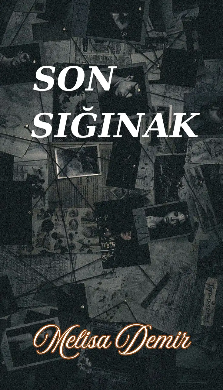 Son Sığınak — Melisa Demir