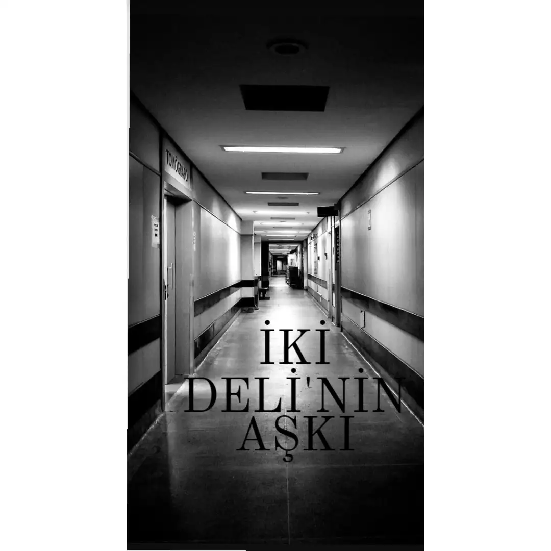 İki Delinin Aşkı — Ela Alagoz