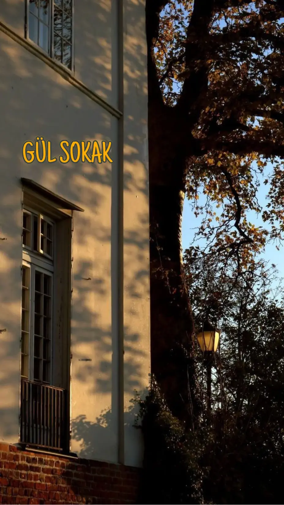 Gül sokak kitap kapağı