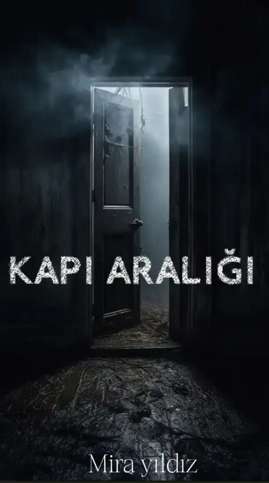 KAPI ARALIĞI kitap kapağı