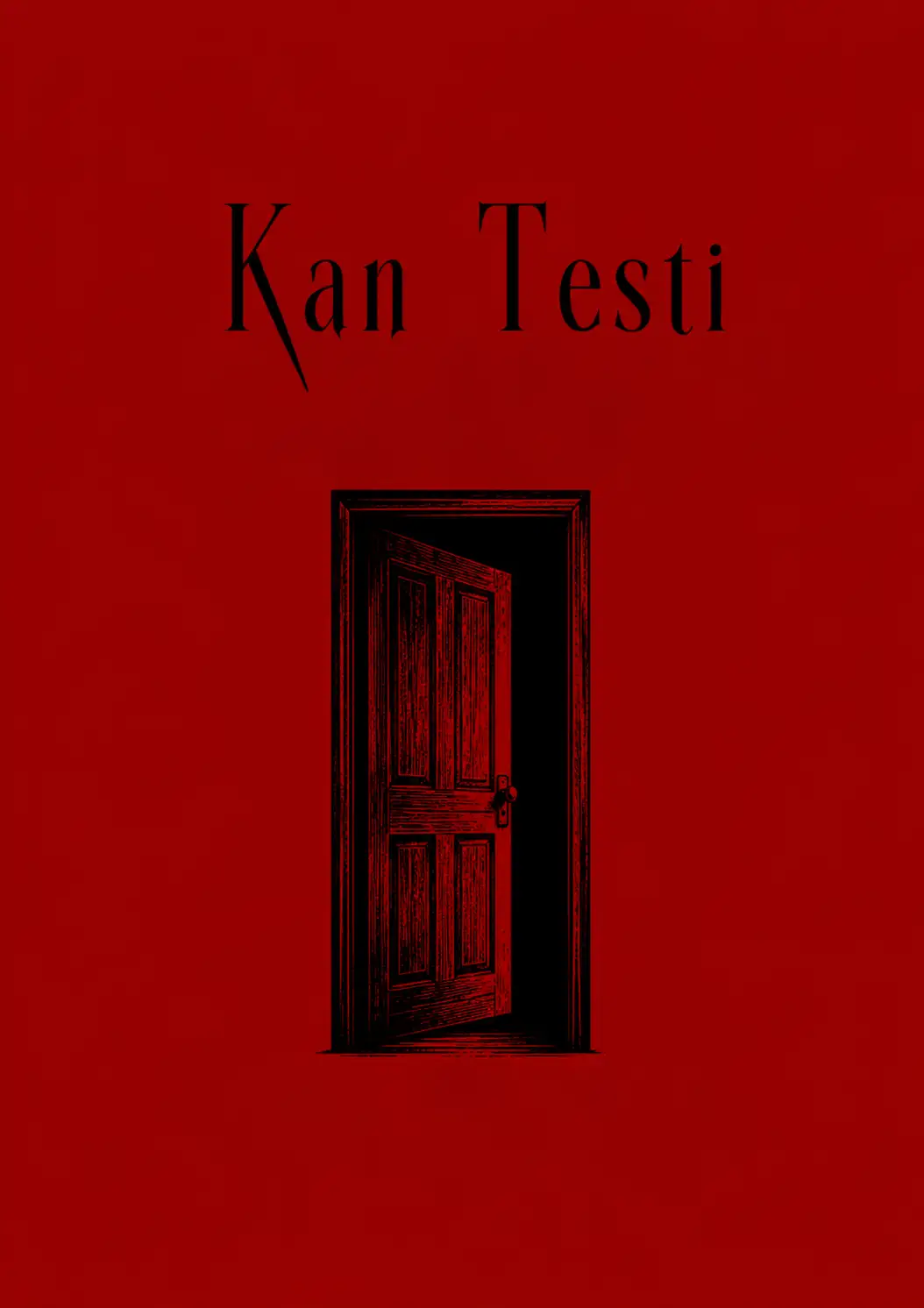 KAN TESTİ kitap kapağı