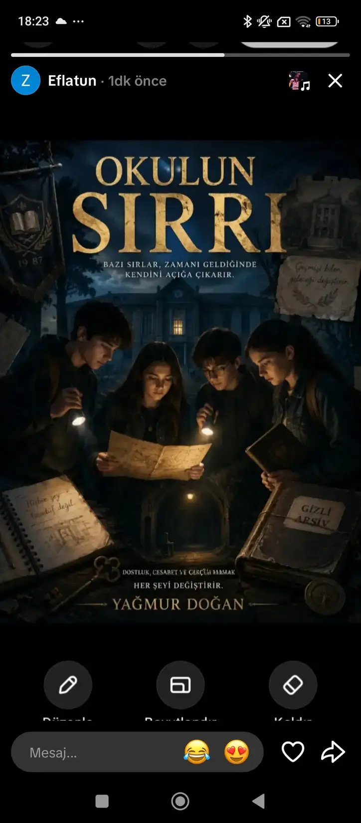 OKULUN SIRRI kitap kapağı