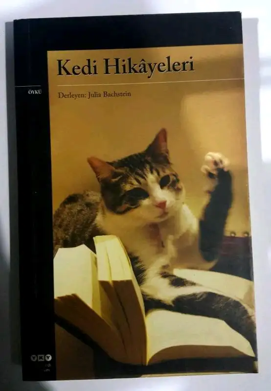 KÜÇÜK KEDİNİN MACERASI — Minel Dede
