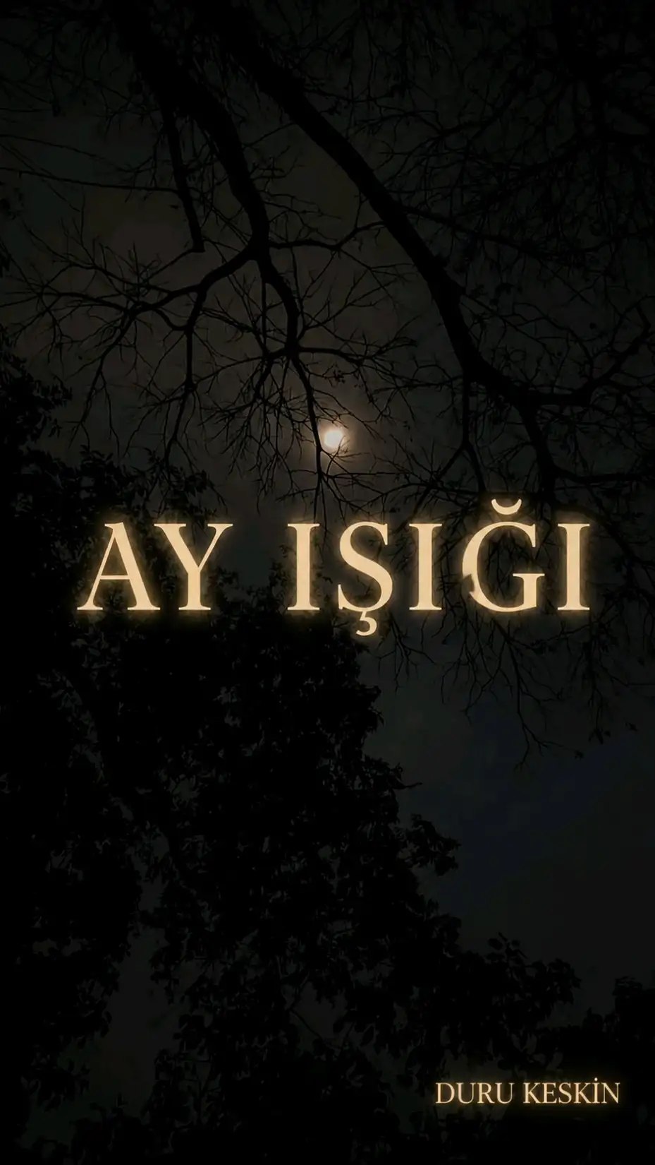 AY IŞIĞI kitap kapağı