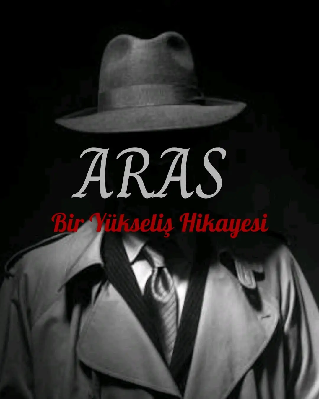 ARAS:Bir yükseliş hikayesi kitap kapağı