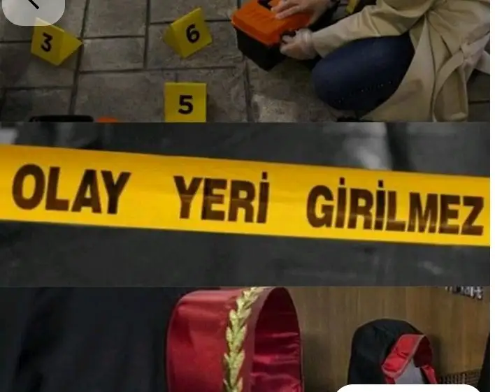 Savcım kitap kapağı