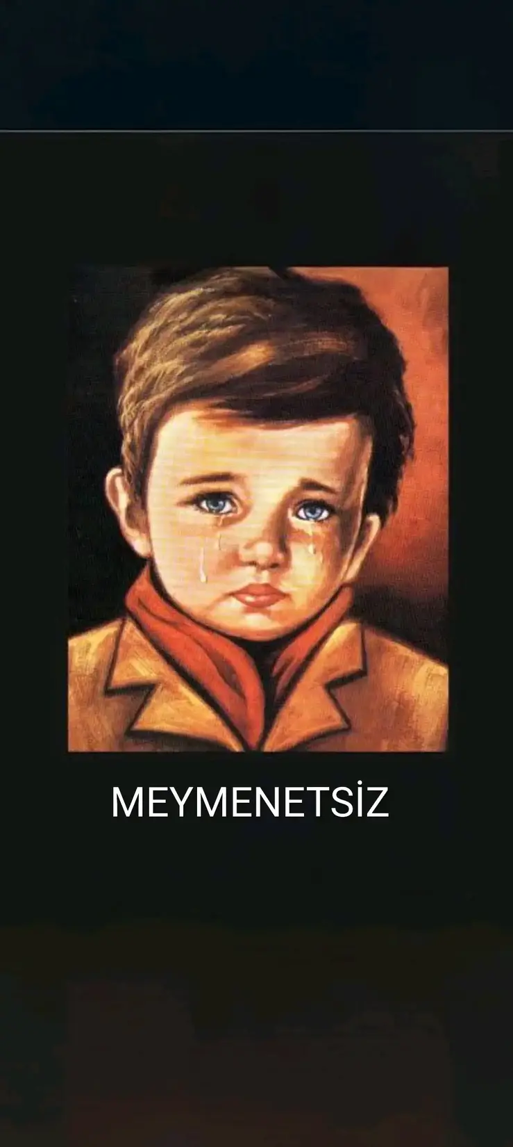 Meymenetsiz kitap kapağı