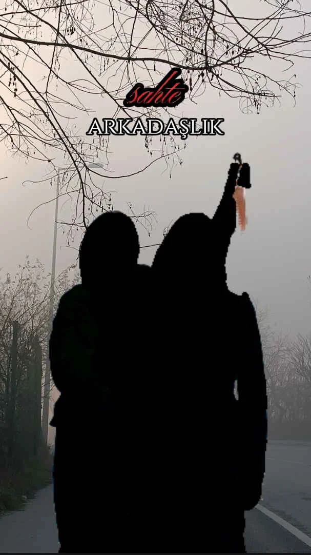 Sahte Arkadaşlık kitap kapağı
