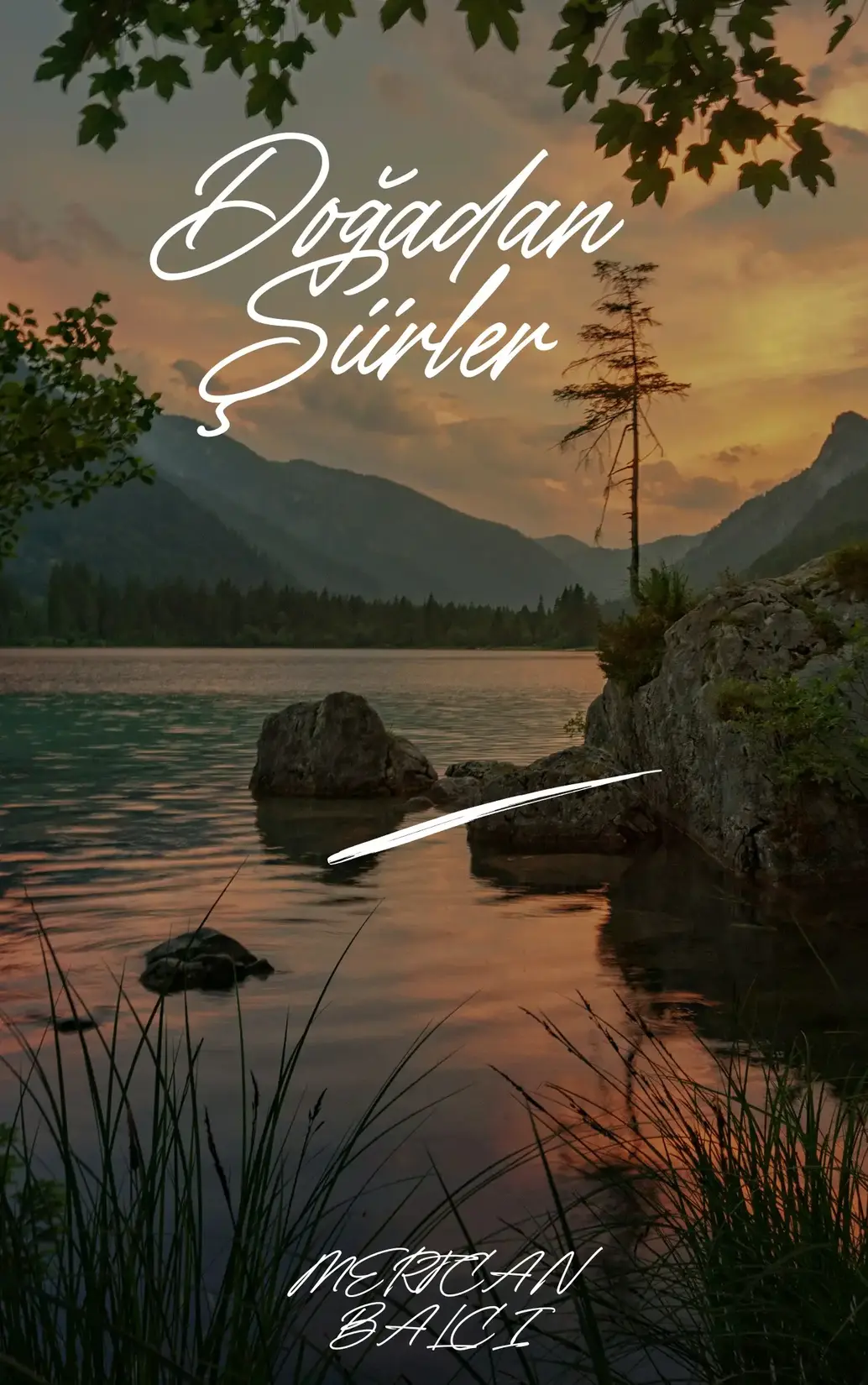 DOĞADAN ŞİİRLER kitap kapağı