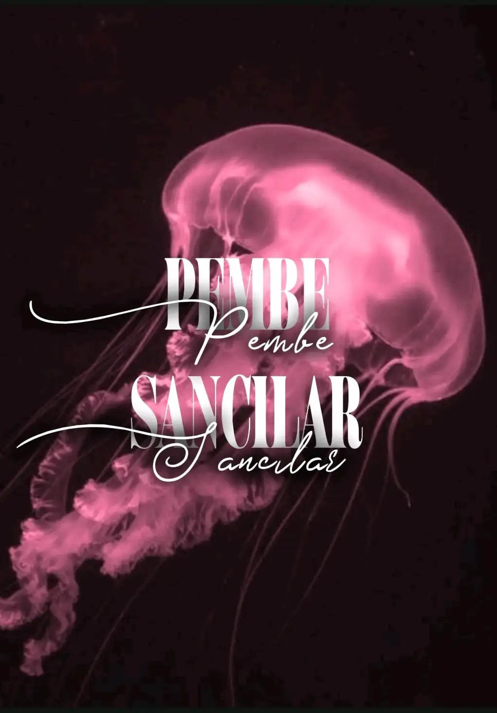 PEMBE SANCILAR kitap kapağı