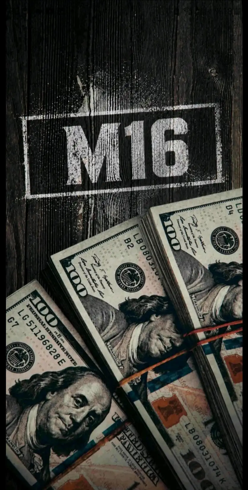 M16 kitap kapağı