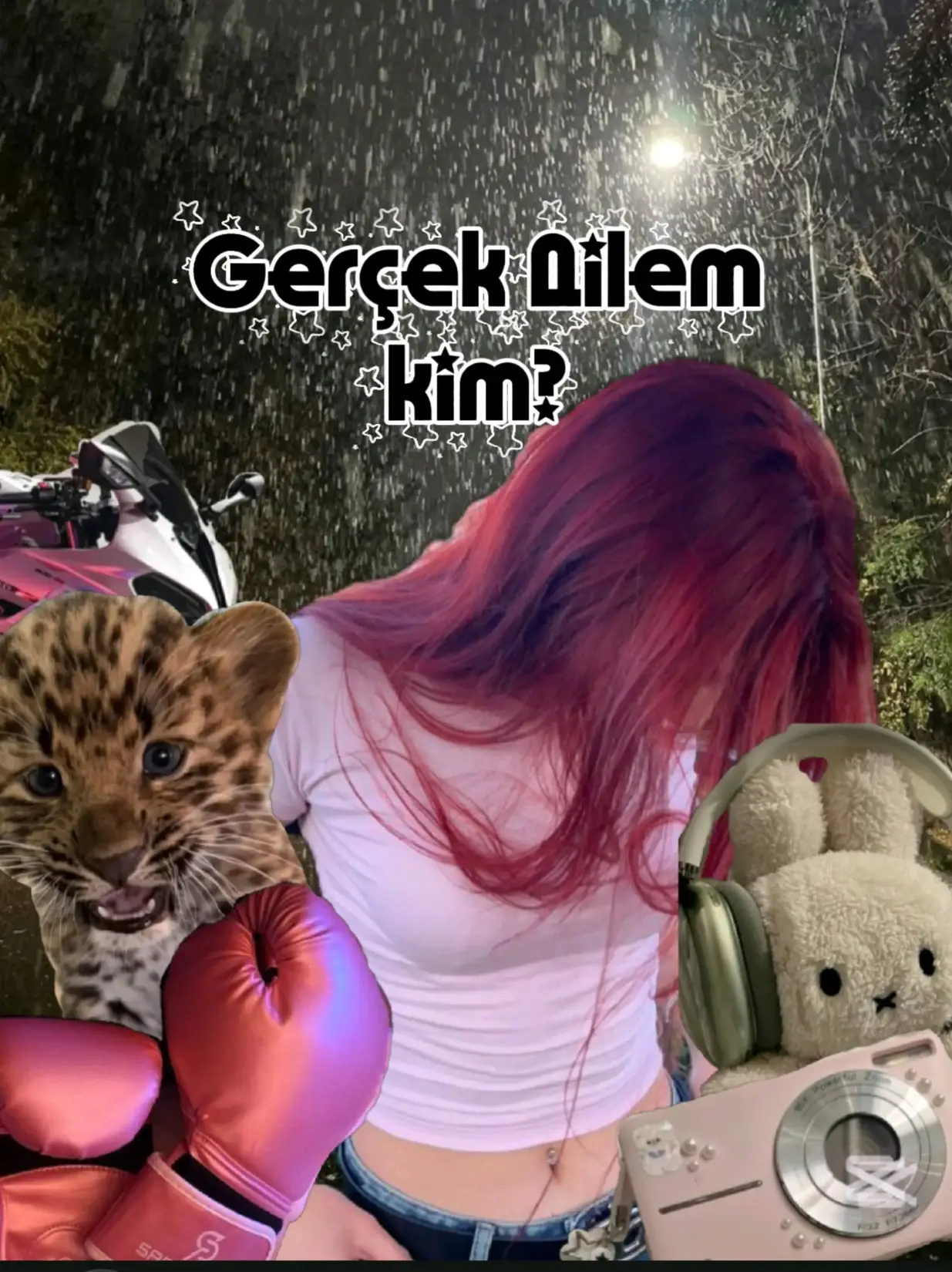 Kayıp Parça (gerçek ailem) kitap kapağı
