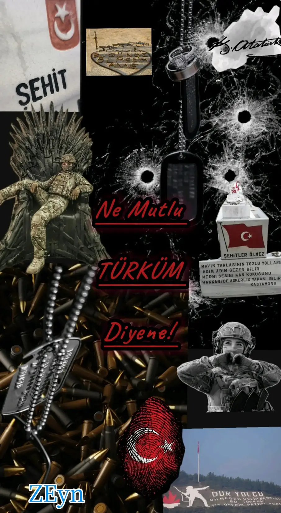 Ne Mutlu TÜRK'ÜM Diyene! kitap kapağı