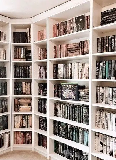 Okuduğum kitapları eleştiriyorum kitap kapağı